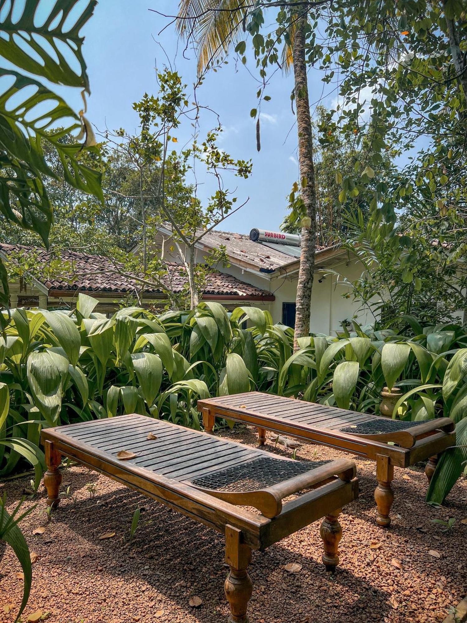 Medusa Bungalow - Galle Exterior photo
